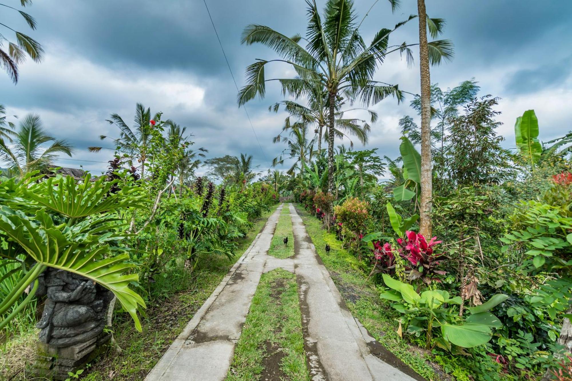 Ritual Ubud Gianyar  Ngoại thất bức ảnh